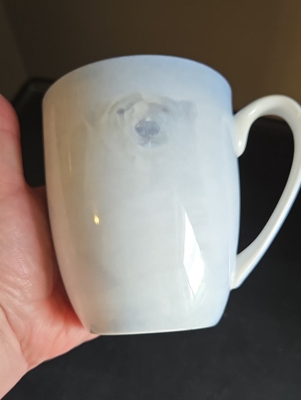 Robert Bateman White Encounter Polar Bear Accent Mug